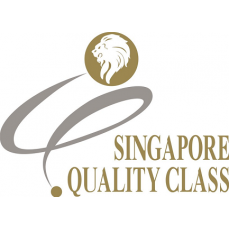 BUSINESS EXCELLENCE SINGAPORE QUALITY AWARD